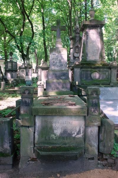 Zdjęcie grobu Henryk Lisicki (1)