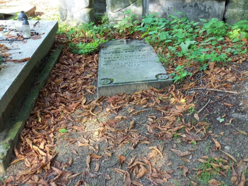 Zdjęcie grobu: Teodor Wardaczyński