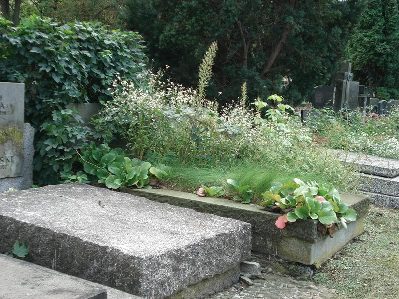 Zdjęcie grobu Marcinek Nikiel (1)