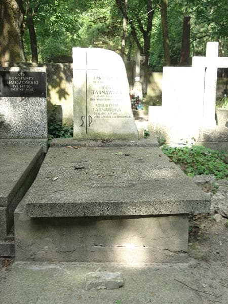 Zdjęcie grobu: Tadeusz Tarnawski
