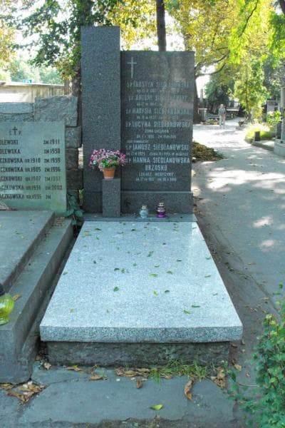 Zdjęcie grobu Hanna Siedlanowska Brzosko (1)