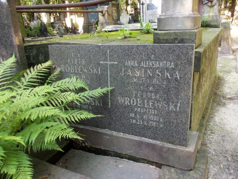 Zdjęcie grobu Anna Aleksandra Jasińska (2)