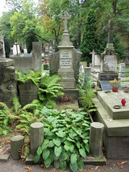 Zdjęcie grobu: Antoni Lebiedziński