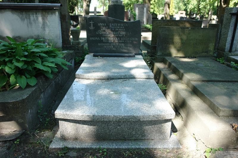 Zdjęcie grobu Witold Drzewiecki (1)