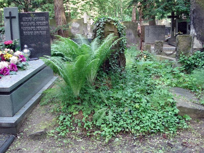 Zdjęcie grobu: Władysław Drągowski
