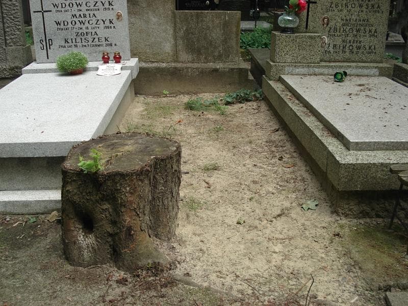 Zdjęcie grobu: Pole Grobowe