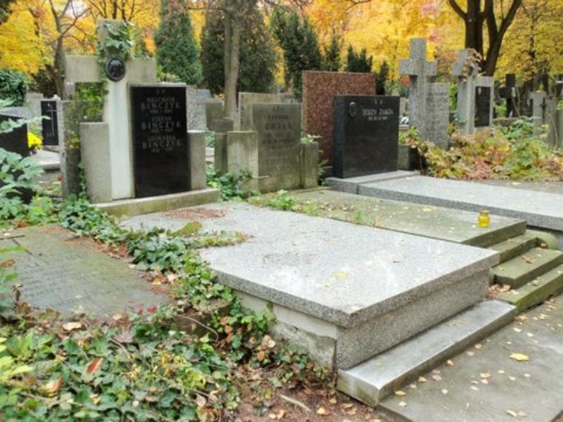 Zdjęcie grobu Stefan Bińczyk (1)