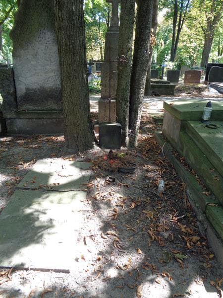 Zdjęcie grobu: Leon Mastelski
