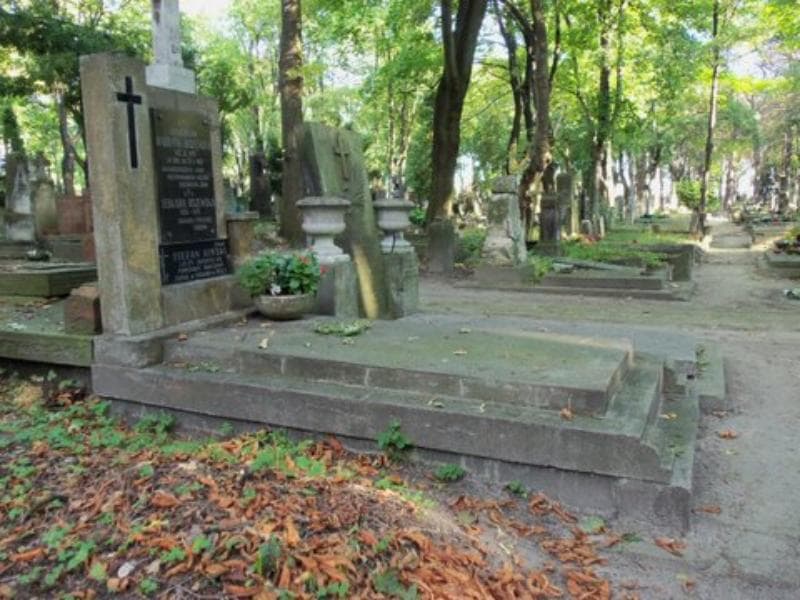 Zdjęcie grobu Bronisław Habdank-Biszewski (1)