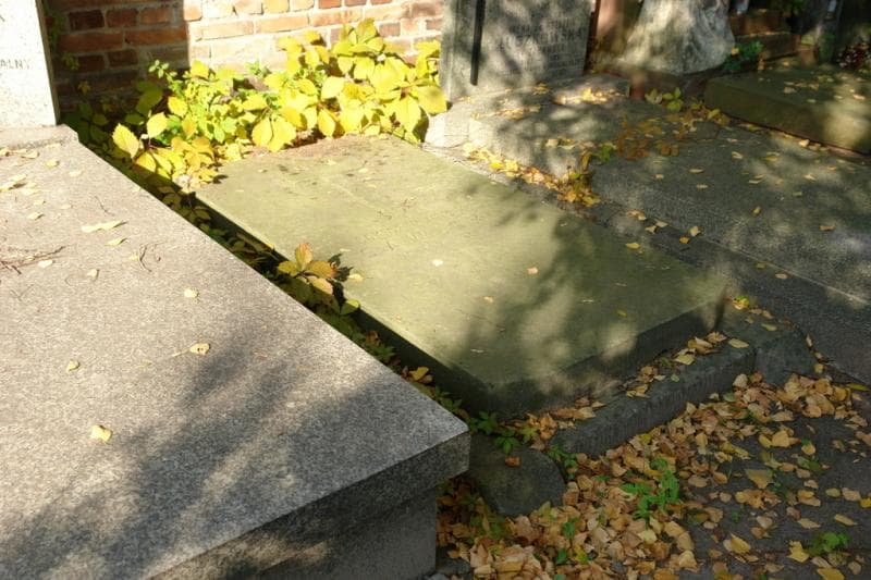 Zdjęcie grobu Władysław Sawicki (2)