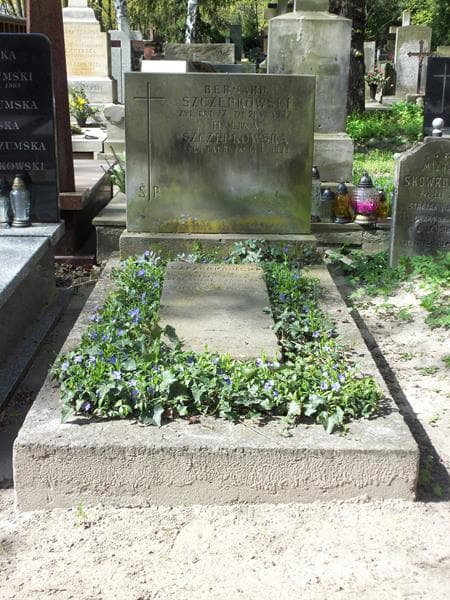 Zdjęcie grobu: Bernard Szczepkowski