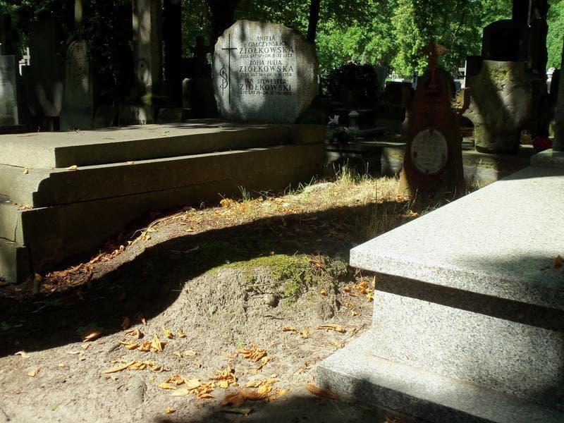 Zdjęcie grobu Konstancja Okuniewska (1)
