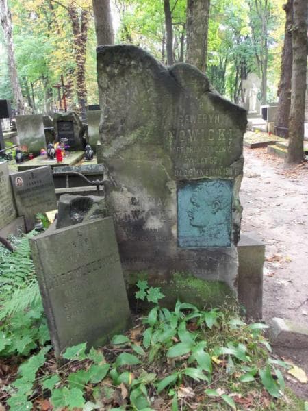 Zdjęcie grobu Mieczysław Nowicki (2)