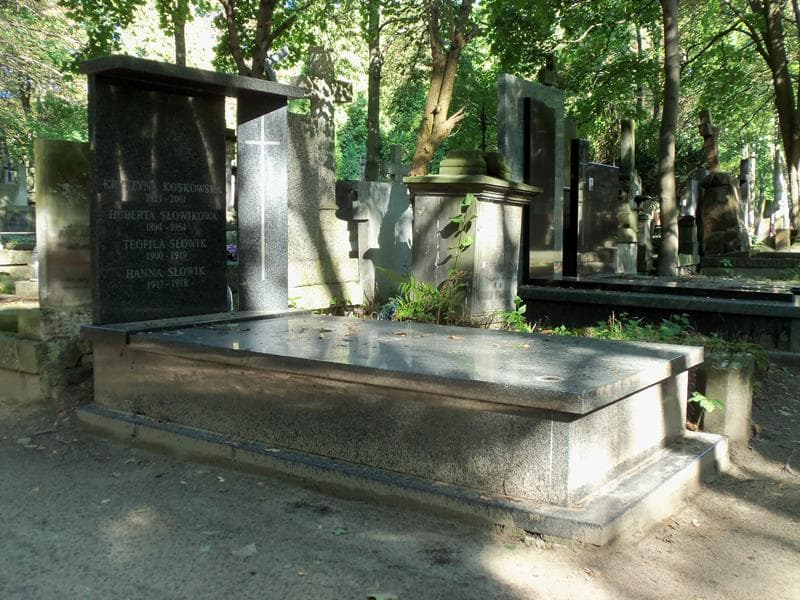 Zdjęcie grobu Teofila Słowik (1)
