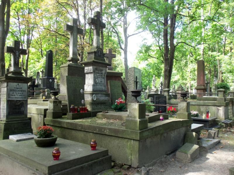 Zdjęcie grobu Nina Drya-Lisiecka (1)