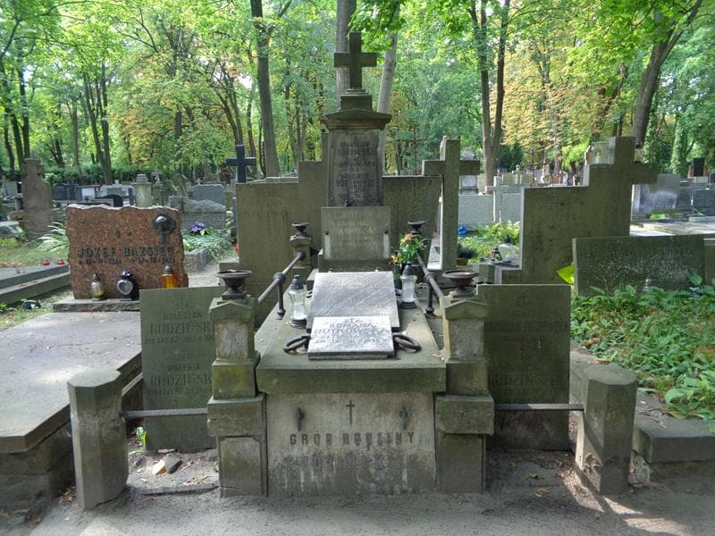 Zdjęcie grobu Janina Brudnicka (1)