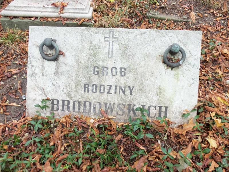 Zdjęcie grobu Brodowscy (1)