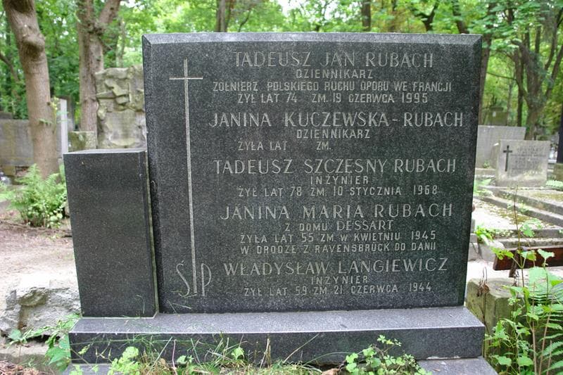Zdjęcie grobu Władysław Langiewicz (2)