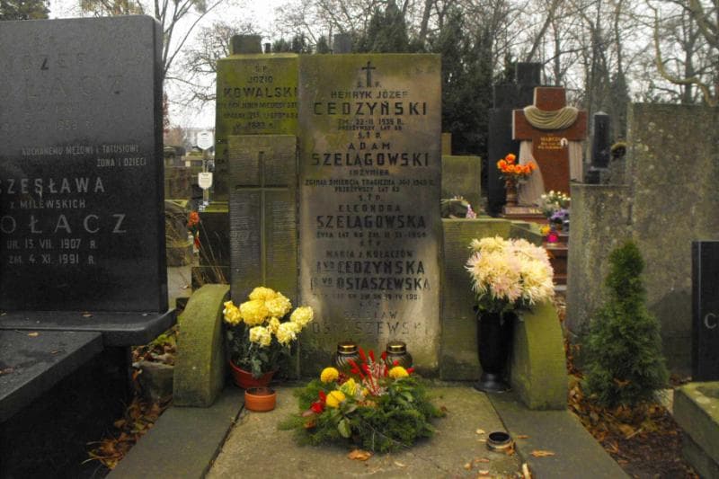 Zdjęcie grobu Henryk Józef Cedzyński (2)