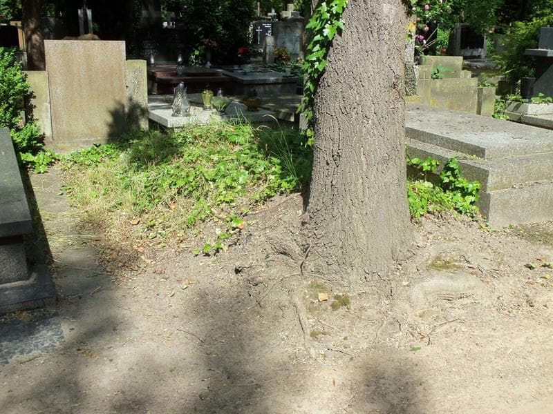 Zdjęcie grobu: Pole Grobowe