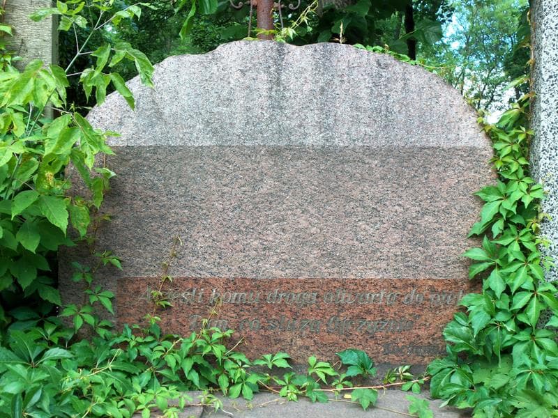 Zdjęcie grobu Zofia Brzeska (2)