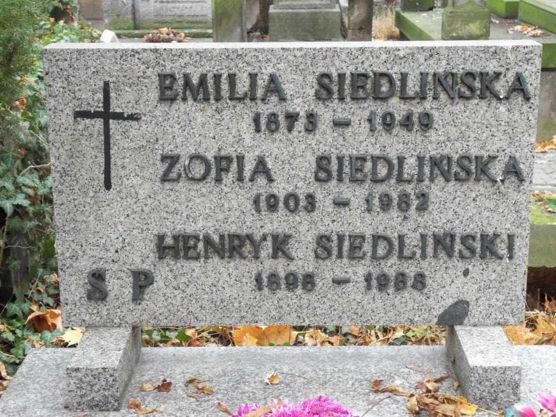Zdjęcie grobu Emilia Siedlińska (2)