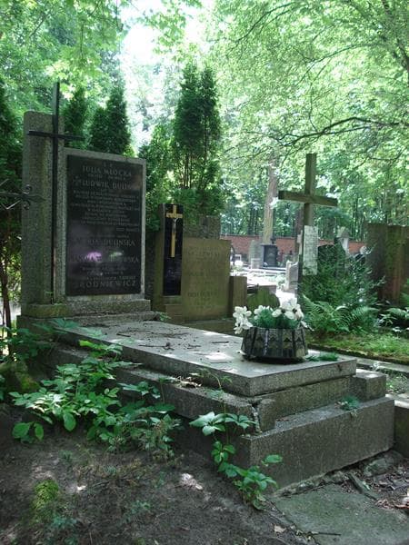 Zdjęcie grobu Tadeusz Brodniewicz (1)