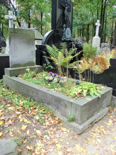 Zdjęcie grobu Stanisława Rudzińska (1)
