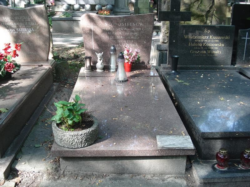 Zdjęcie grobu Władysław Nowosielski (1)