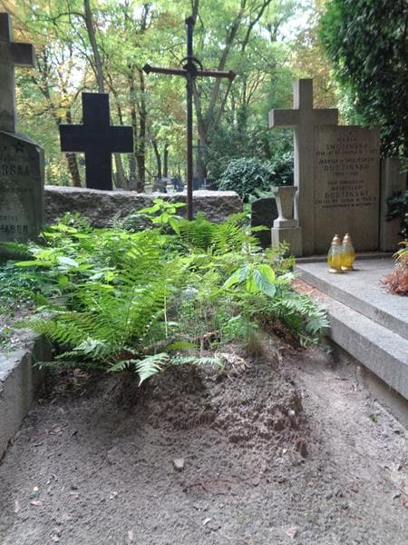 Zdjęcie grobu Kazimierz Chudzikiewicz (1)