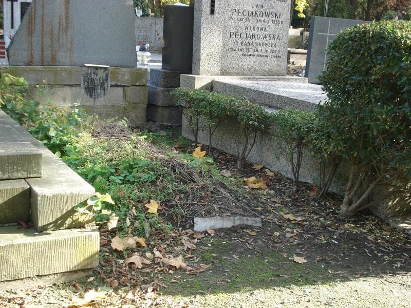 Zdjęcie grobu Cecylia Kościan (1)