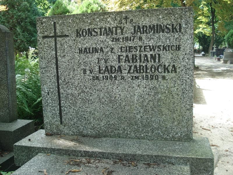 Zdjęcie grobu Konstanty Jarmiński (1)