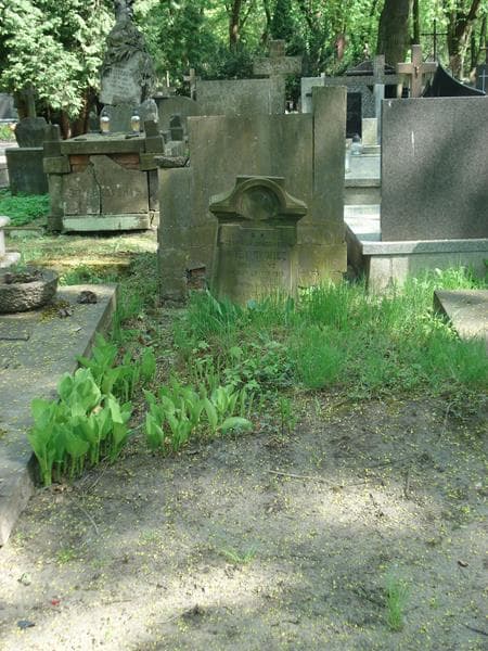 Zdjęcie grobu: Genowefa Niemcewicz