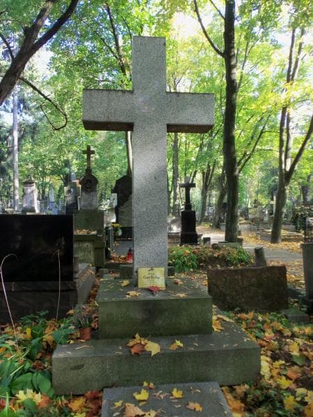Zdjęcie grobu Edward Pałuski (2)