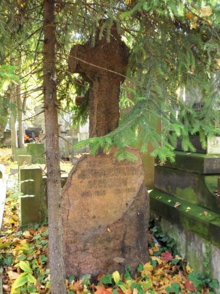 Zdjęcie grobu Józefa Schultz (1)
