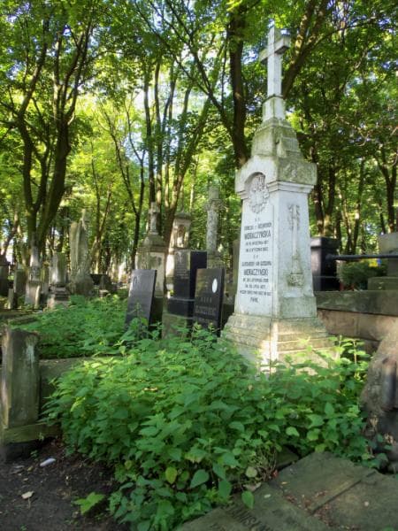 Zdjęcie grobu Aleksander Jan Gozdawa Moraczyński (1)