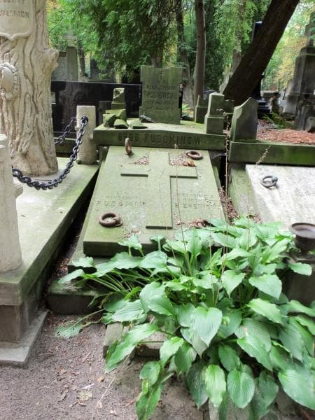Zdjęcie grobu: Maria Rudominowa