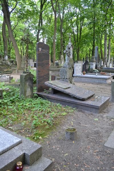 Zdjęcie grobu: Emilja Gorczyńska