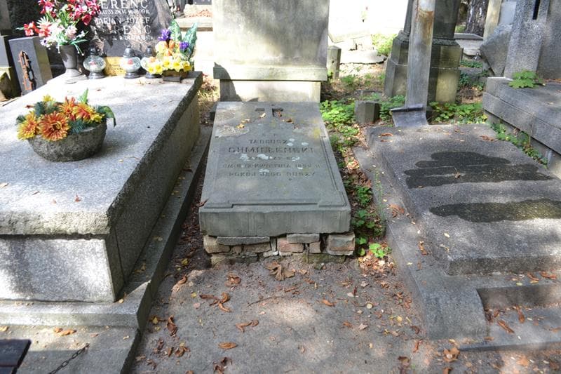 Zdjęcie grobu Tadeusz Chmielewski (1)