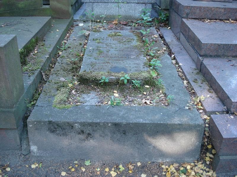 Zdjęcie grobu Kazimierz Sieniuta-Mizgier (1)