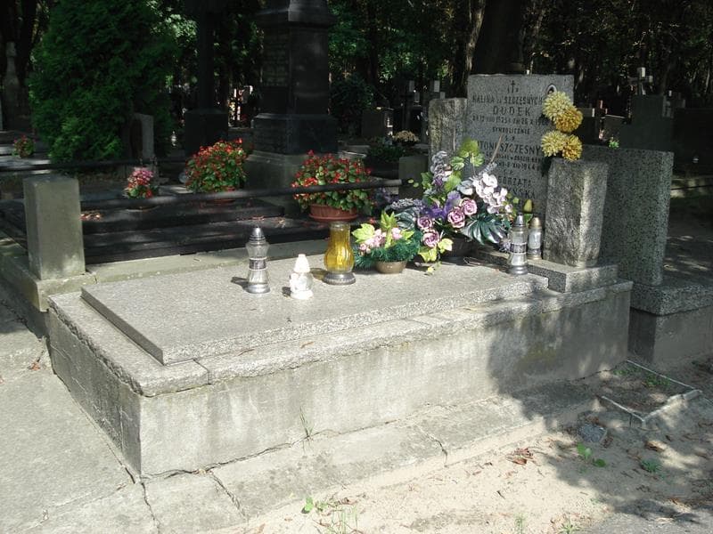Zdjęcie grobu: Janina Szczęsna