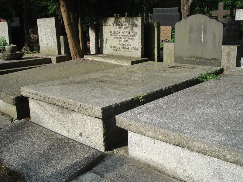 Zdjęcie grobu Witold Lubicz-Łutowski (2)