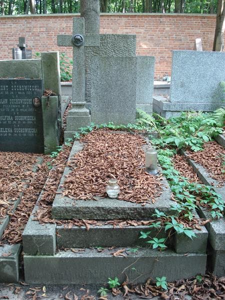 Zdjęcie grobu Józef Lipiński (1)