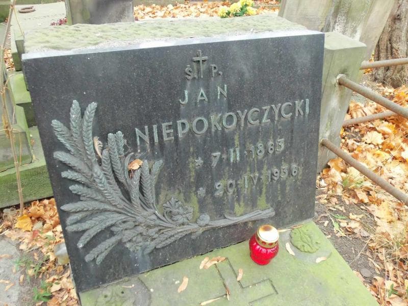 Zdjęcie grobu Czesław Niepokoyczycki (2)