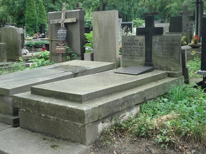 Zdjęcie grobu Stefania Borowska (1)