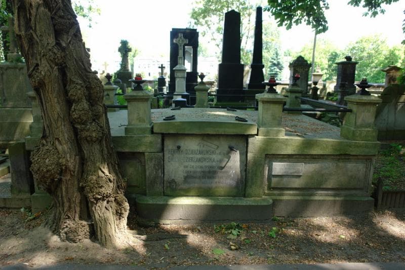 Zdjęcie grobu Henryk Dzierżanowski (1)