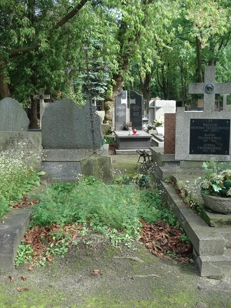 Zdjęcie grobu: Zofia Drużna