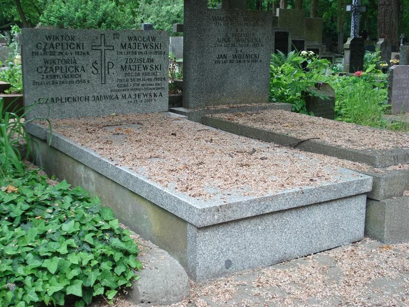 Zdjęcie grobu Zdzisław Majewski (1)