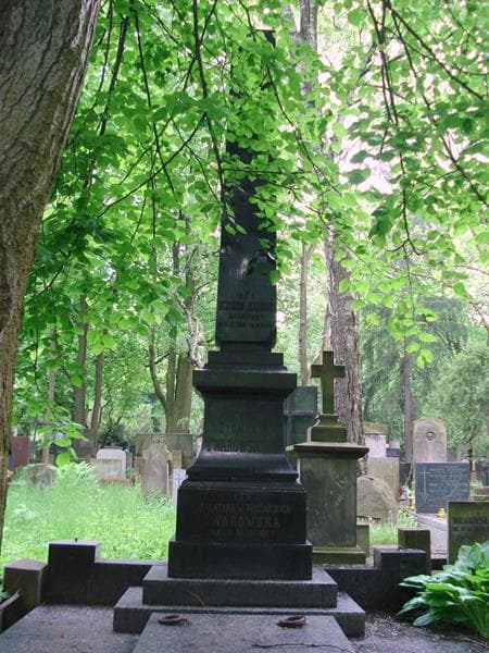 Zdjęcie grobu Zygmunt Twarowski (2)