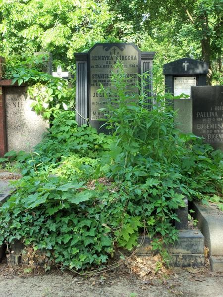 Zdjęcie grobu: Maria Górecka